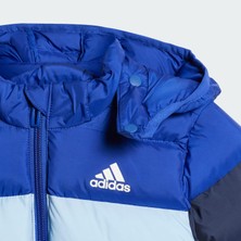 Adidas Sportswear IV9507 Synthetic Down Jacket