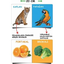 8'li Eğitici Ilk Kütüphanem - Çocuklar Için Resimli 8 Adet Eğitici Aktivite Kitaplar Seti