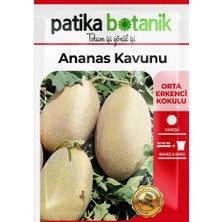 Patika Botanik 80 Adet Yerli Ata Ananas Kavun Tohumu