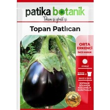 Patika Botanik 200 Adet Topan Patlıcan Tohumu