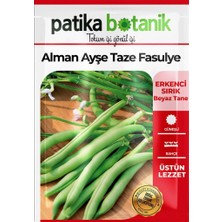 Patika Botanik 50 Adet Alman Ayşe Tipi Sırık Fasulye Tohumu