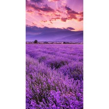 Lavantalı Siyah Seylan Çayı 50 gram - Doğal Yapraklar