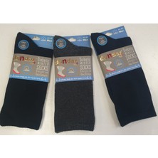 Dündar Erkek Cotton Diabetic Winter Socks Dikişsiz 41-45 Numara 3 Lü Paket