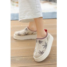 Shemard Mucy Bej Süet Bot