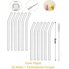 Daisy 12'li Cam Pipet ve Pipet Temizleme Fırçası Hediye, Kalın Cam Pipet İle