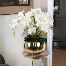 Yaren Style Büyük Gold Metal Orkide Saksısı Vazo / Çiçekler Görsel Amaçlı Kullanılmıştır.