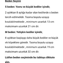 Ayz Markalama Güvenlik Kilitli Isimli Kedi Tasması, Isimlikli Kedi Tasması, Sallanmayan Kedi Künyesi, Safety Click Tasma