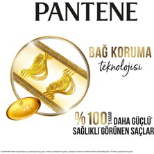 Pantene Şampuan Pro-V Doğal Sentez Yağ Terapisi 350 ml x 3