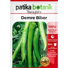 Patika Botanik 200 Adet Demre Biber Tohumu