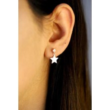 Kadın Pembe 925 Ayar Gümüş Zirkon Taşlı Kaplama Küpe