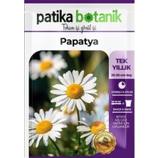 Patika Botanik 100 Adet Tıbbi Aromatik Papatya Tohumu