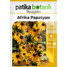 Patika Botanik Afrika Papatyası (Rudbeckia) Çiçek Tohumu 100 Adet