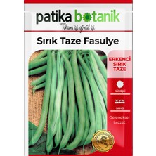 Patika Botanik 50 Adet Sırık Fasulye Tohumu (Mine) GCL165