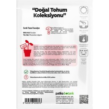 Patika Botanik 50 Adet Sırık Fasulye Tohumu (Mine) GCL165