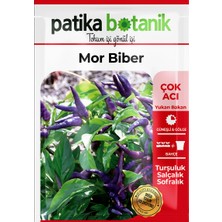 Patika Botanik 200 Adet Mor Cin Biber Tohumu