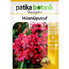 Patika Botanik 100 Adet Hüsnüyusuf (Dianthus Barbatus L.) Çiçek Tohumu