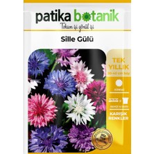 Patika Botanik Kontur (Centaurea) Çiçek Tohumu 50 Adet