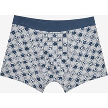 Penti Erkek Çocuk Croco 2li Çok Renkli Boxer