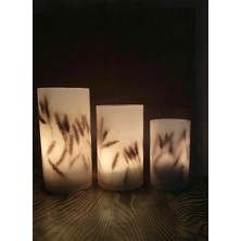 Gri Kozalak Çok Renkli Mumluk Buğdaylı Slndr Tealight 3'lü Takım