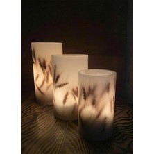 Gri Kozalak Çok Renkli Mumluk Buğdaylı Slndr Tealight 3'lü Takım