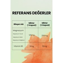 N-Magnemics Vitamin B6 İçeren Takviye Edici Gıda