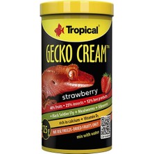 Tropical Gecko Cream Strawberry Çilekli Gecko Yemi 100 ml 50 gr