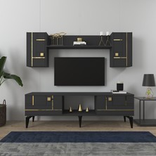 Cantek Dizayn Maddera 150 cm Tv Ünitesi Takımı Antrasit-Altın