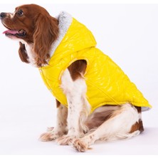 Pawstar Sarı Light Wave Anorak Yelek Köpek Yeleği Köpek Kıyafeti Köpek Yağmurluk