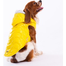 Pawstar Sarı Light Wave Anorak Yelek Köpek Yeleği Köpek Kıyafeti Köpek Yağmurluk