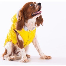 Pawstar Sarı Light Wave Anorak Yelek Köpek Yeleği Köpek Kıyafeti Köpek Yağmurluk