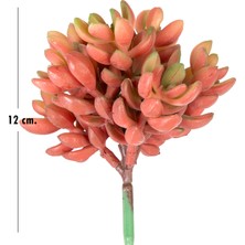 Herdekora Yapay Kaktüs Sukulent Kırmızı 12  cm