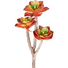 Herdekora Yapay Kaktüs Sukulent Kırmızı  35  cm