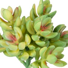 Herdekora Yapay Bitki Sukulent Yeşil 12  cm .
