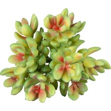 Herdekora Yapay Bitki Sukulent Yeşil 12  cm .
