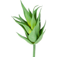 Herdekora Yapay Kaktüs Sukulent Yeşil 17  cm