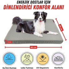 XPERMATE Patiminder Köpek Yatağı Yedek Kılıflı Büyük Irk Köpek Yatağı Büyük Köpek Yatakları  60X80cm