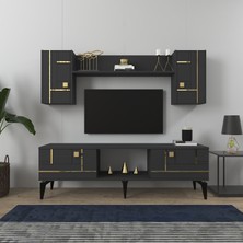 Demonte Decor Madera 150 cm Tv Ünitesi Takımı Antrasit-Altın