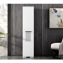 Demonte Home Mobilya Asimodh (A) 1 Kapaklı Dolap