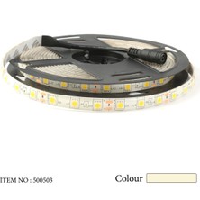 ATEK LED 5 Metre Günışığı Şerit Led Seti - 50x50 Led, 12v Adaptör Girişli