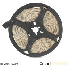 ATEK LED 5 Metre Günışığı Şerit Led Seti - 50x50 Led, 12v Adaptör Girişli