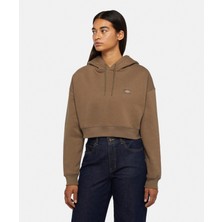 Dickies Oakport Cropped Hoodie