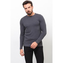Desenli Antrasit Rengi Slim Fit Bisiklet Yaka Erkek Kazak