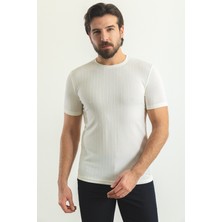 Çizgili Ekru Rengi Slim Fit Bisiklet Yaka Erkek T-Shirt