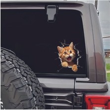Özkaş Kedi 3D Sticker Uv Soğuk Baskı Etiket Oto Aksesuar Suv Otomobil Motor Elektrikli Bisiklet
