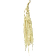 Dekorsende Şoklanmış Amarantus Demeti 100 cm