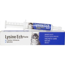 Lysine Ech Paste ( Immune Health ) 30 ml Pasta