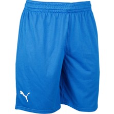 Puma Turkey Practice Short Erkek Türkiye Basketbol Şortu 60547201 Mavi