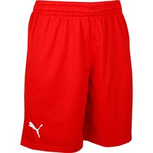 Puma Turkey Practice Short Erkek Türkiye Basketbol 60547202 Kırmızı