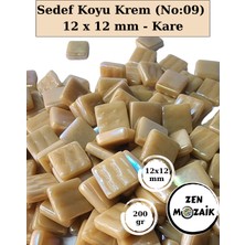 Zen Mozaik Sanatsal Mozaik Çalışmalarınız Için 12X 12 mm Kare - Sedefli  Cam Mozaik Taşı (200 Gr)