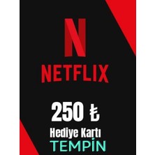 Netflix Hediye Kartı 250 TL